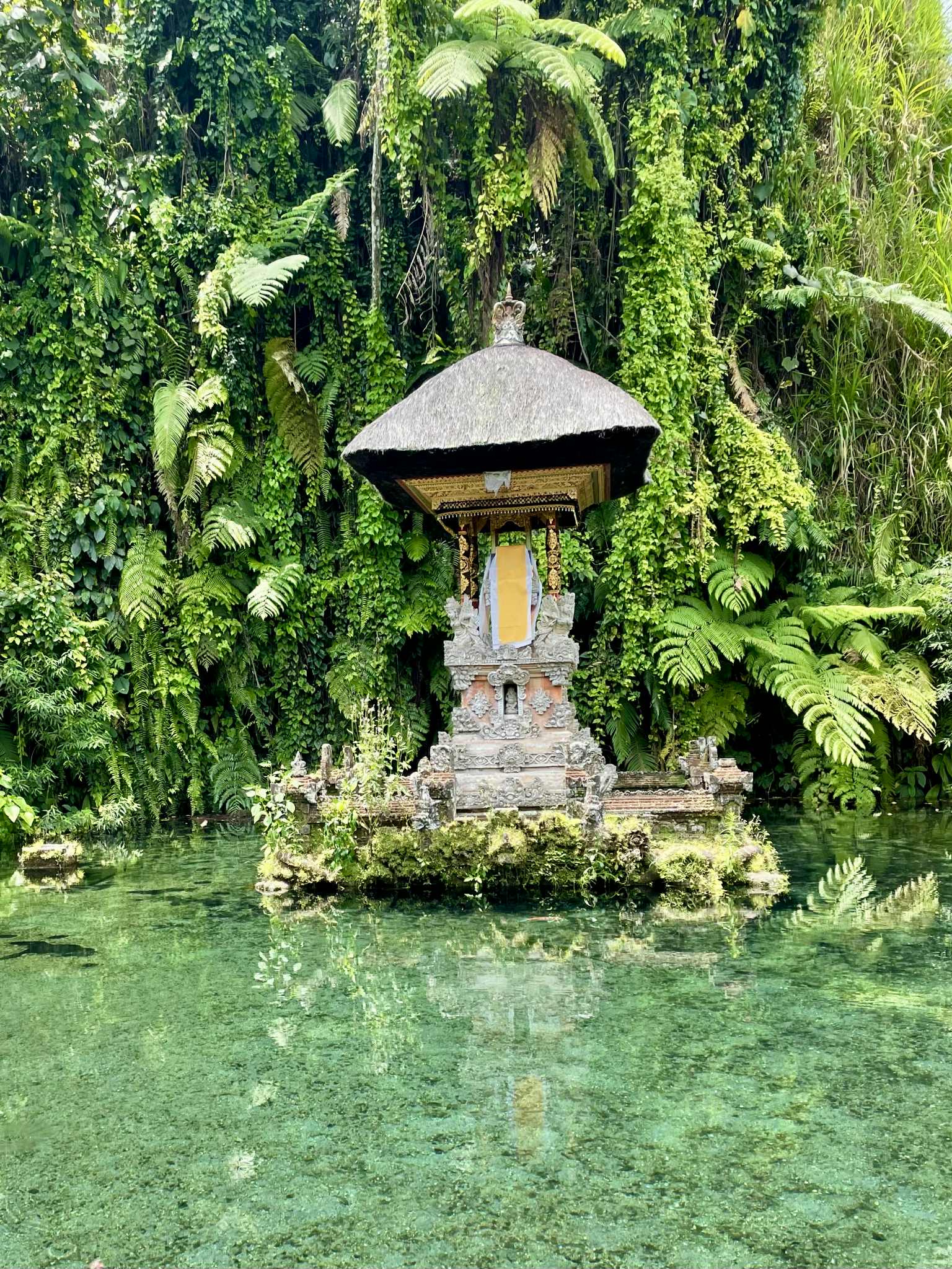 {{brizy_dc_image_alt imageSrc=